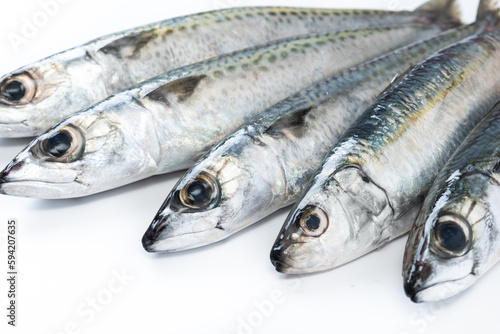 Raw mackerel fish isolated on white background