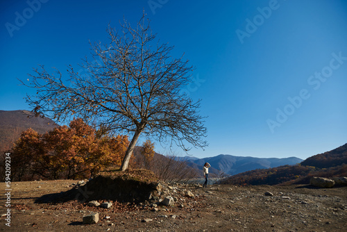 beautiful landscape, autumn tree without leaves against the backdrop of beautiful mountains and a lake and a silhouette of a young woman. beautiful autumn landscape photo