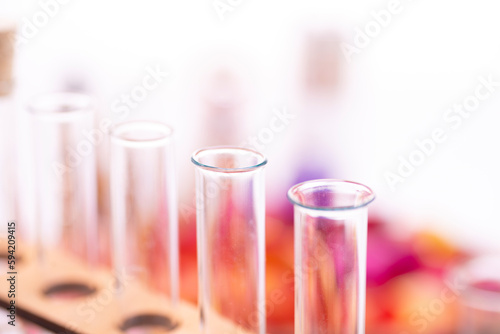 Fresh flowers in chemical test tubes on the table. Preparation of perfumes from natural ingredients, aromatherapy