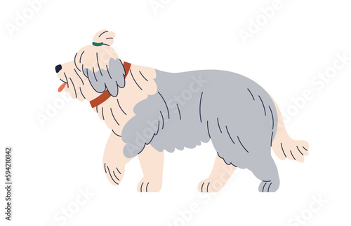 Bobtail dog breed. Old English sheepdog, cute fluffy canine animal. Sweet bob-tailed doggy profile, shaggy hairy shepherd walking, strolling. Flat vector illustration isolated on white background