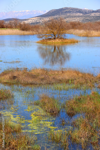 Beautiful landscape of Lake Vrana, Croatia.