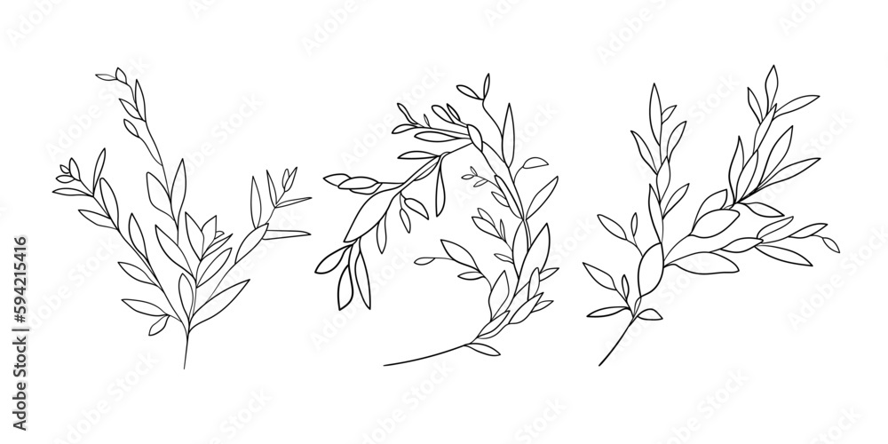 Eucalyptus leaves set in line art style isolated on white background. Minimal outline drawing. Wedding design for invitation card Eucalyptus leaves set in line art style isolated on white background. Minimal outline drawing. Wedding design for invitation card