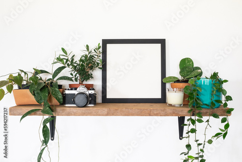 blank square frame picture with plants on wooden shelf hanging on wall background