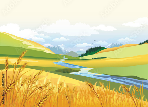 Autumn landscape of mountains and hills of the river valley. Ears of wheat in nature. Vector illustration