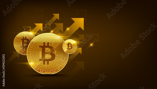 Vector golden bitcoin blockchain technology concept