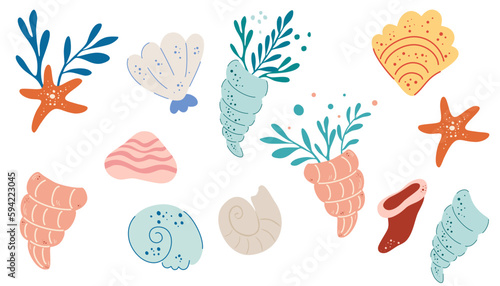 Seashell set. Cartoon scallops. Tropical conch sea snail oyster clam scallop seashells, mollusks spiral shells aquarium or underwater wildlife, conch. Vector illustration of sea scallop marine