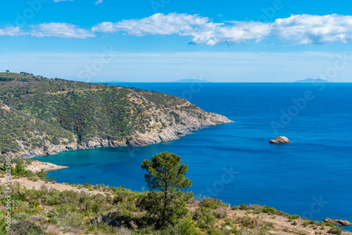 Coastline of Elba island in springtime