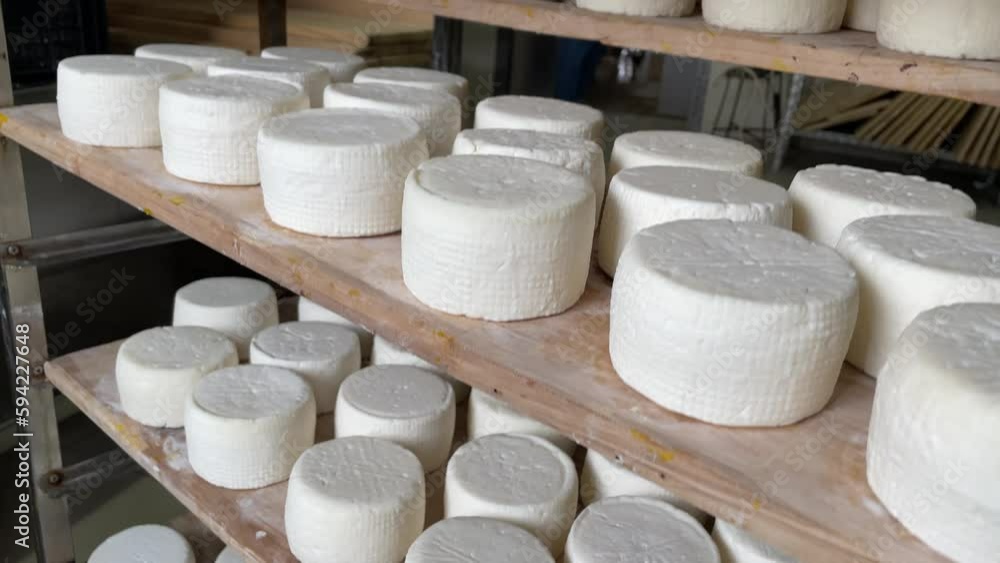 Abundance Of Heads Of Goat Cheese On Shelf Stands Arranged To Ripen On ...