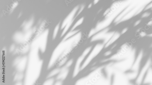 leaf shadow overlay effect. white background with tropical leaves shadows