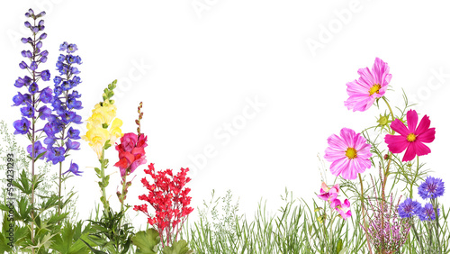 Stampa su tela Meadow with delphinium, snapdragons, cosmos flowers, cornflower and others
