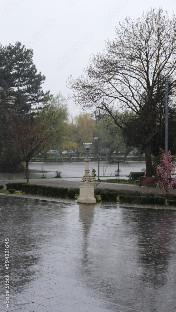 Obraz premium Walk in Cluj central park on a rainy spring day
