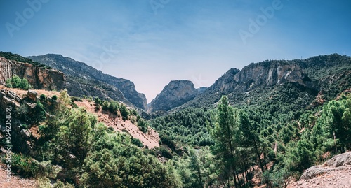 the mountain is full of trees near the rocky road that goes into the canyon