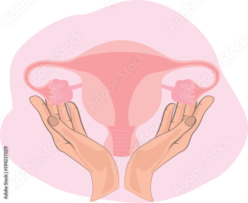 Uterus in hands with appendages vector illustration