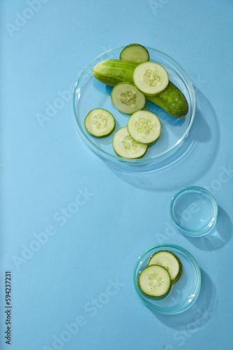 Scene for advertising cosmetic with ingredient from cucumber - fresh cucumber slices in petri dish on blue background. Space for text and design. The perfect natural ingredients for and healthy skin.