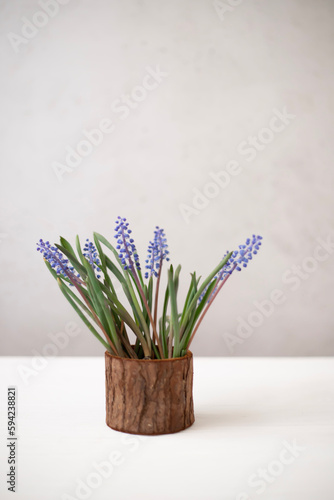 Bouquet of purple muscari. Spring mood