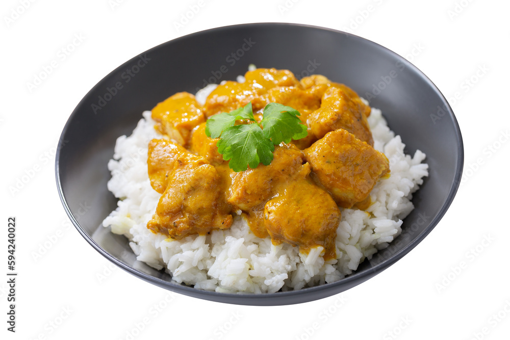 plate of chicken with curry sauce and rice isolated on transparent background plate of chicken with curry sauce and rice isolated on transparent background