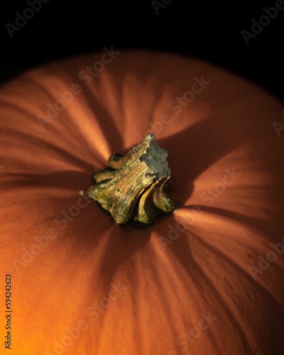 Closeup shot of a ripe orange pumpkin