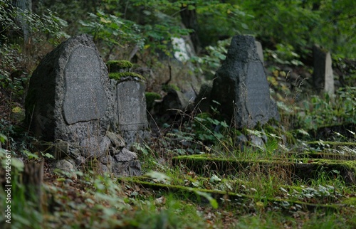 several large stone graves sitting in the grass next to trees