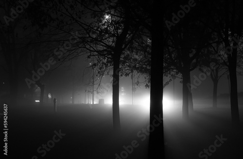 Grayscale shot of a foggy park in the evening in Poznan, Poland.
