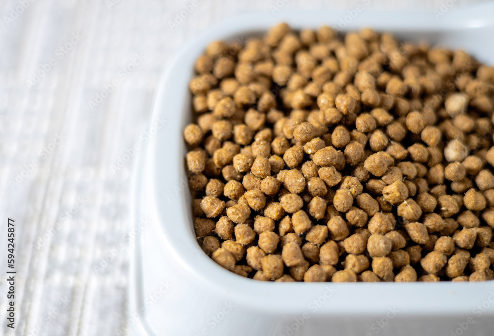dry cat food isolated on carpet,floor tiles in bowl next to water.domestic pet care,food for kitty kitten dry cat food isolated on carpet,floor tiles in bowl next to water.domestic pet care,food for kitty kitten