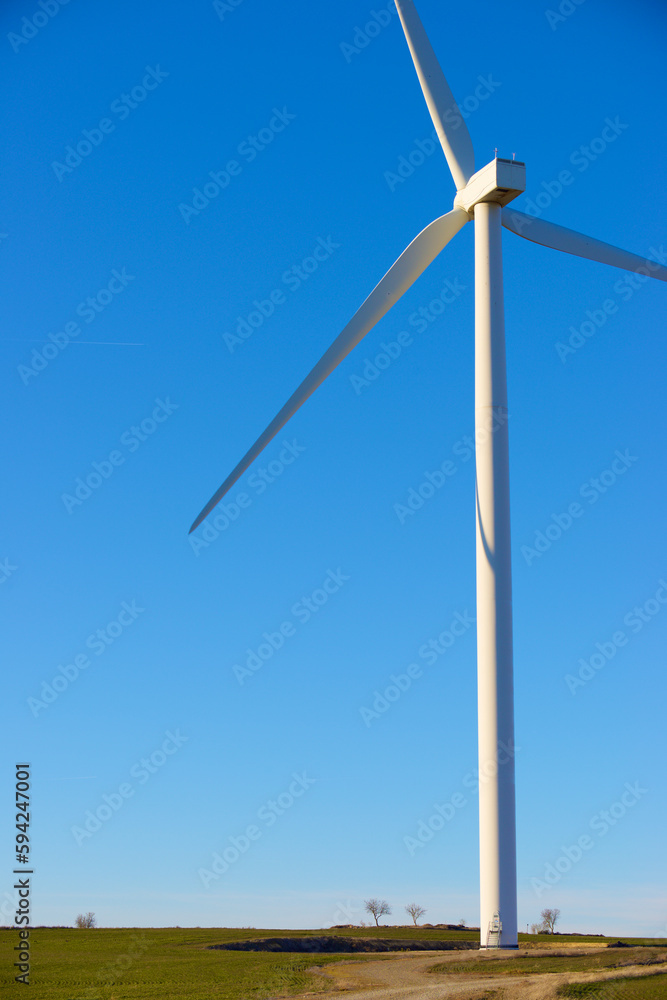Wind turbine generator for sustainable electricity production Wind turbine generator for sustainable electricity production