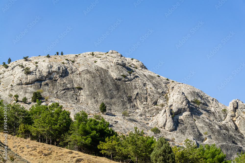 Serpentine mountain road passes near huge gray rock. Pine trees grow on smooth rock. In foreground there is pine forest near road. There is place for your text. Nature concept for design Serpentine mountain road passes near huge gray rock. Pine trees grow on smooth rock. In foreground there is pine forest near road. There is place for your text. Nature concept for design