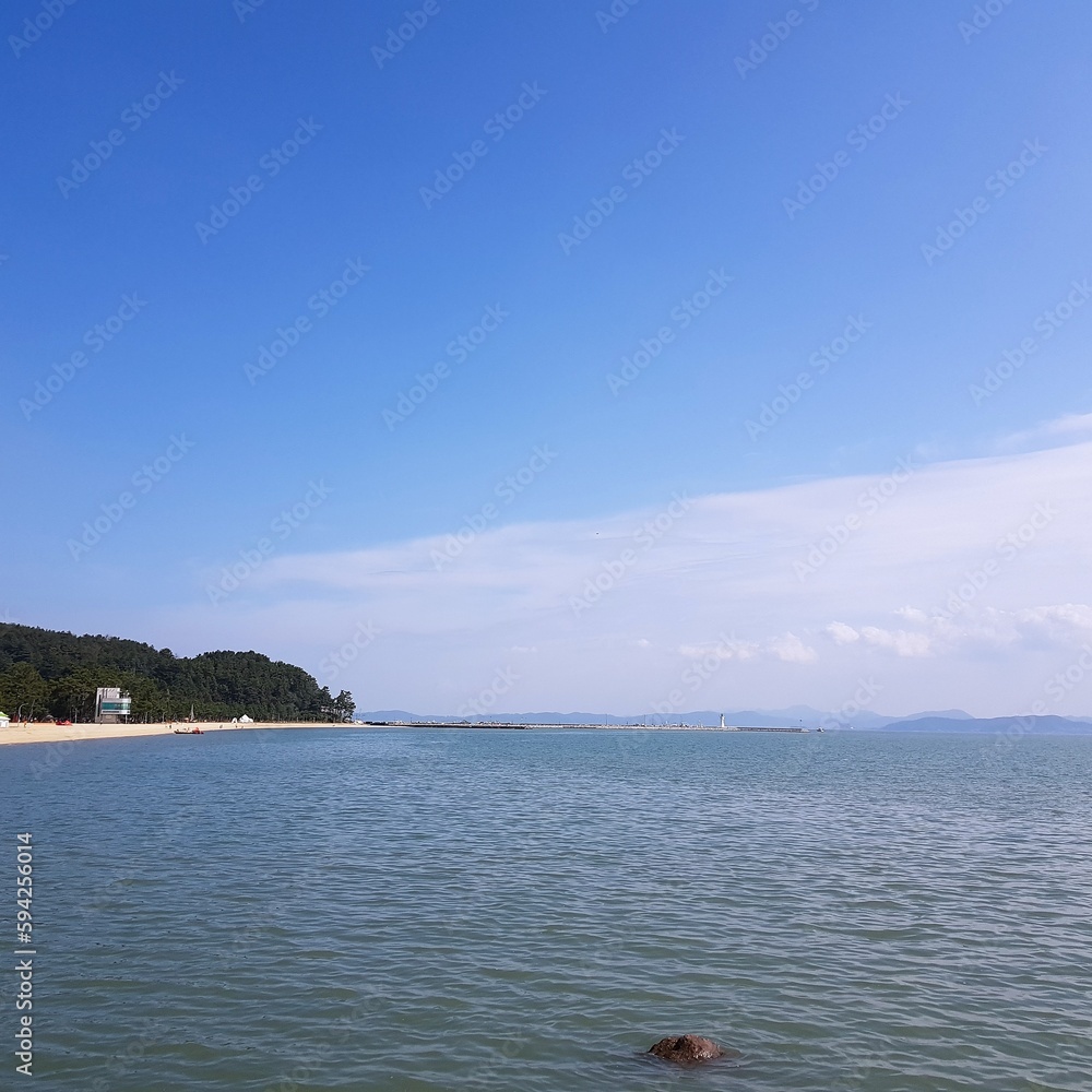 한국 보성 녹차밭에서 찍은 사진 한국 보성 녹차밭에서 찍은 사진