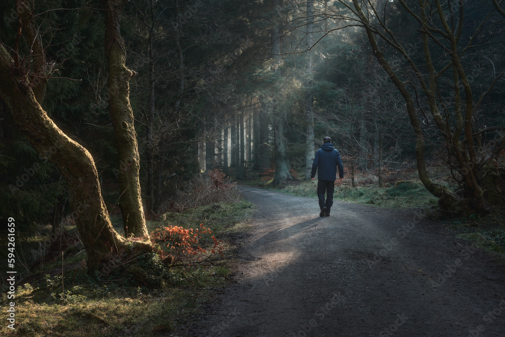 Man walking in a lane in the park with the sunlight breaking through the trees. Beecraigs Country Park, West Lothian, Scotland Man walking in a lane in the park with the sunlight breaking through the trees. Beecraigs Country Park, West Lothian, Scotland