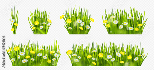 Realistic spring green grass field with flowers isolated border on transparent background. Yellow flores meadow with camomile nature frame set. Wild grassland bunch collection with sunshine light.