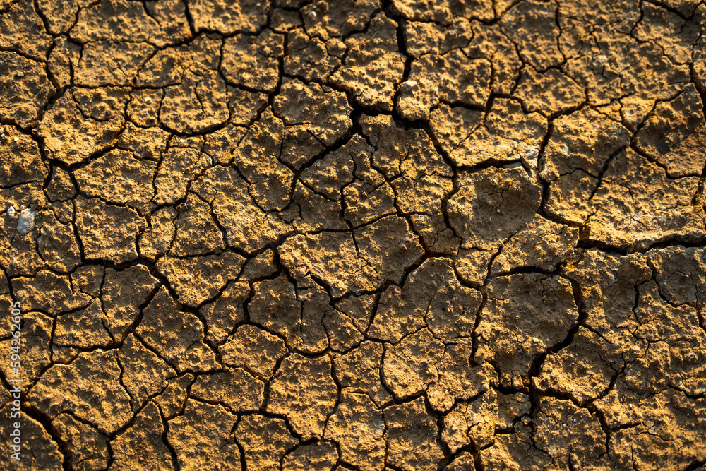 Global warming Dry cracks in the land Drought surface Climate changes the soil. Global warming Dry cracks in the land Drought surface Climate changes the soil.