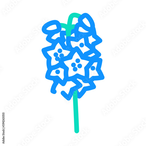 delphinium blossom spring color icon vector illustration