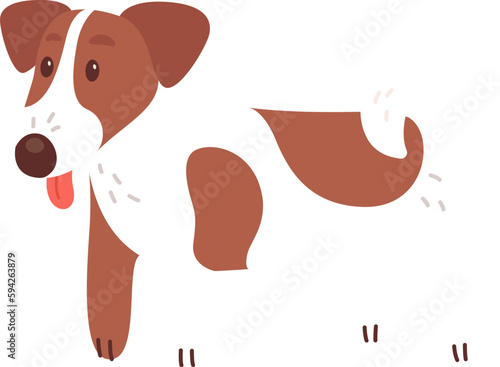 Terrier Dog Animal