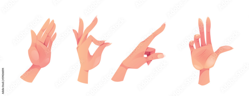 Vector hand gesture set. Isolated female palm, touch, ok and waving arm ...