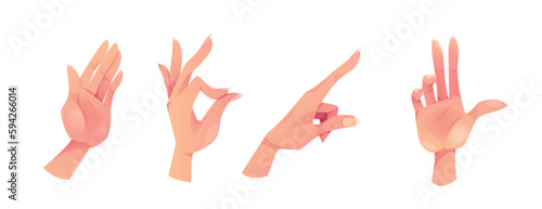 Vector hand gesture set. Isolated female palm, touch, ok and waving arm sign cartoon illustration. Girl body language signal collection. Different lady social communication concept with fingertip