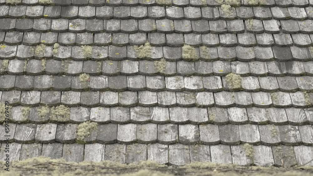 The wooden shingles of the roof of the house in the middle of the forest in Estonia The wooden shingles of the roof of the house in the middle of the forest in Estonia