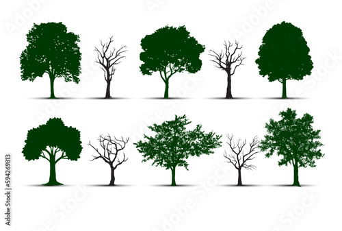 tree silhouettes on white background. Vector illustration.
