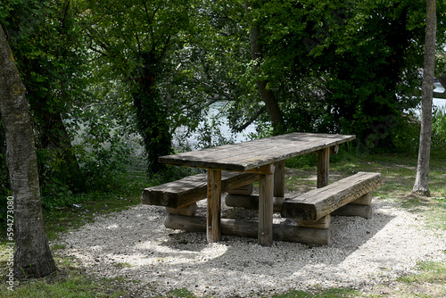 wooden picnic table with tree in the background