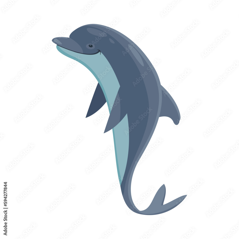 Obraz premium Dolphin Flat Illustration