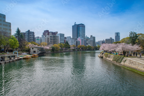 桜の咲く広島平和公園を流れる元安川 © shiro