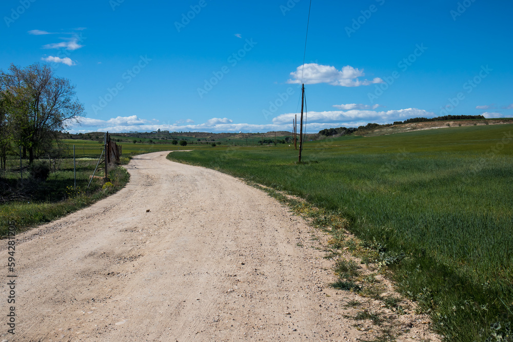 Beautiful picturesque winding country road, gravel dirt path goes into a distance in a spring meadow, field. Nice sunny weather. Natural scenery. Spanish landscape with green meadows, blue cloudy sky.