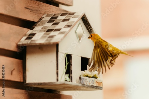 Adorable yellow bird perched atop a wooden birdhouse, perfect for wallpapers