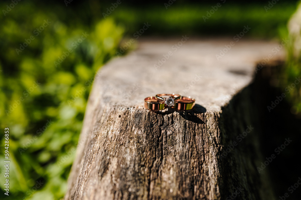 Pair of gold wedding rings on a stump Pair of gold wedding rings on a stump