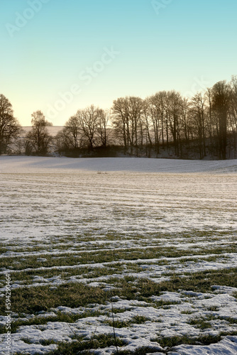 Wallpaper Mural Danish winter landscape. A photo of a winter landscape at sunset. Torontodigital.ca