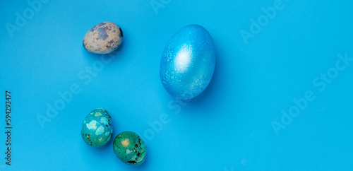 Easter background with blue Easter eggs and spring flowers on a blue background. Top view  space for text  banner