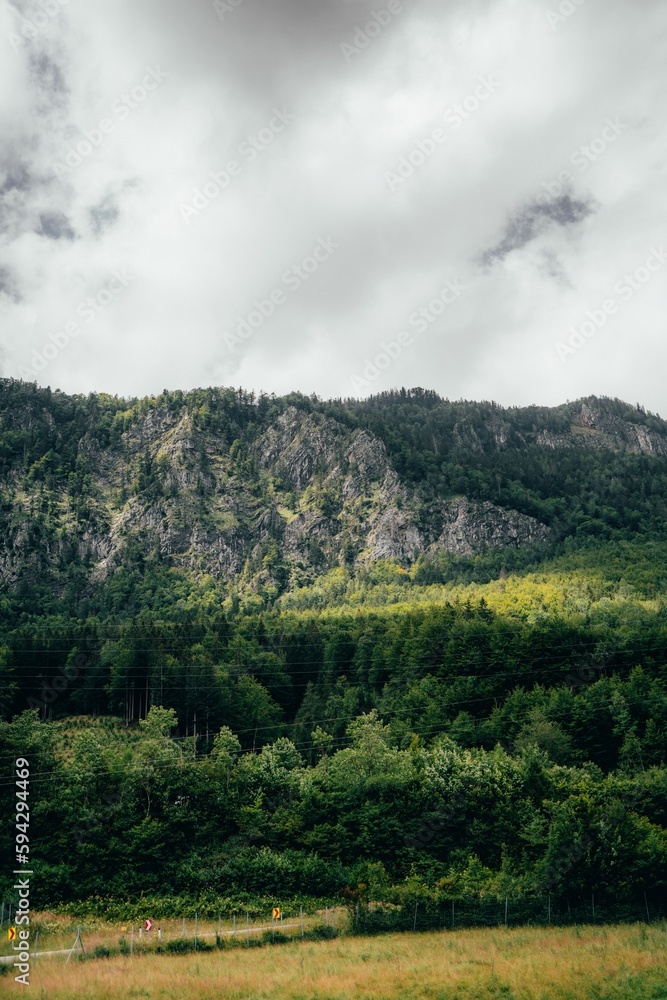 Vertical shot of a landscape with forested mountains under a cloudy sky