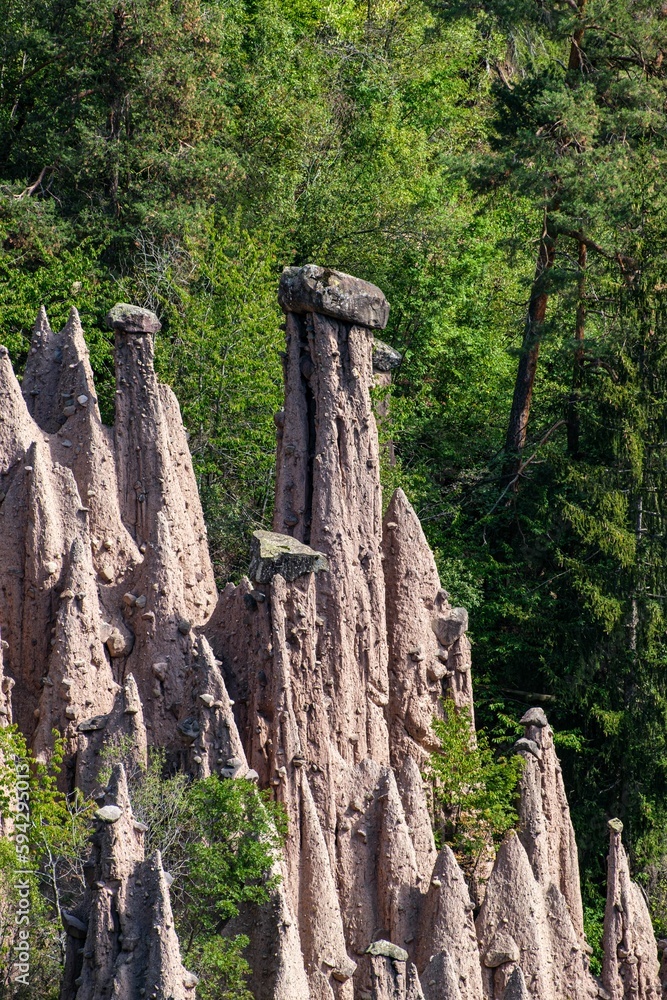 Famous earth pyramids near Ritten in South Tyrol on a sunny day with foliage in the background