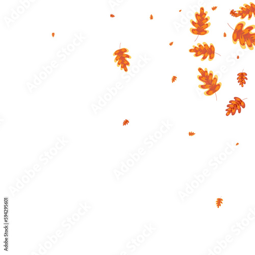 Red Oak Background White Vector. Leaves Dead Set. Golden Plant. Object Illustration. Orange Acorn Vibrant.