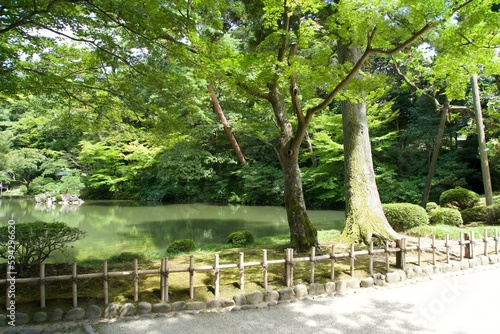 Pond in the Japanese Garden at Kenroku-en in summer.