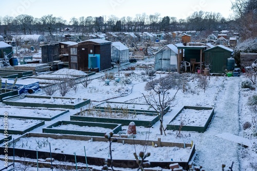 Snow covered allotments in winter.