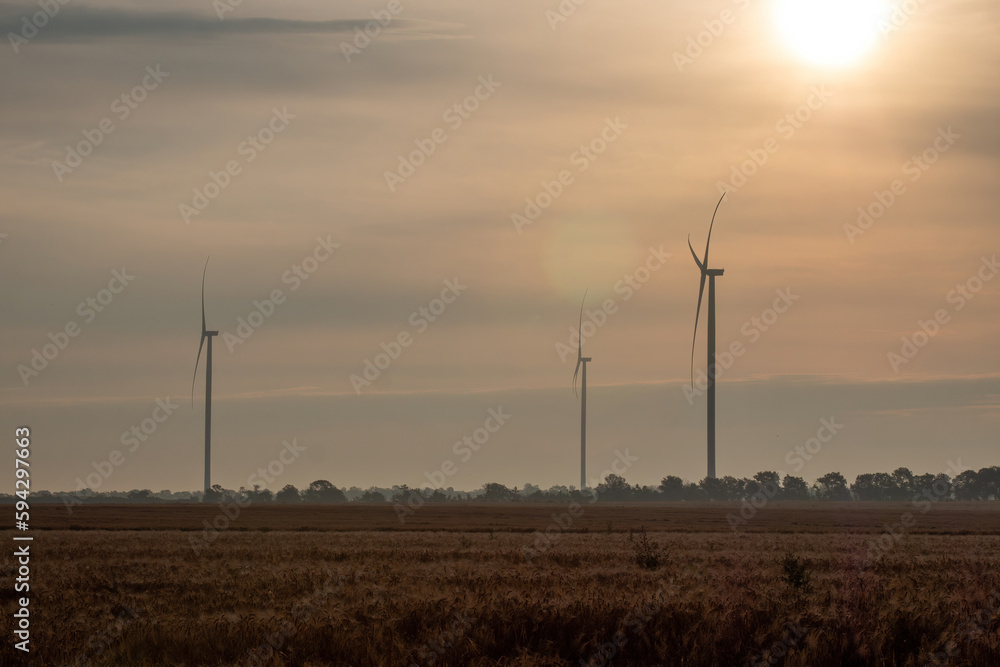 Evening sun illuminates wind turbines with rotor blades at top generating green energy as source for cities. Windfarm producing electricity